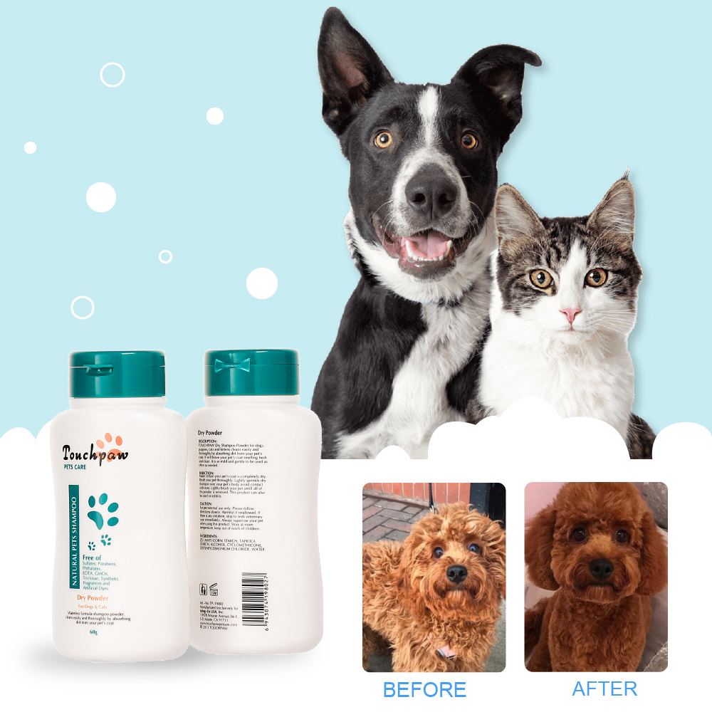 any pet shampoo